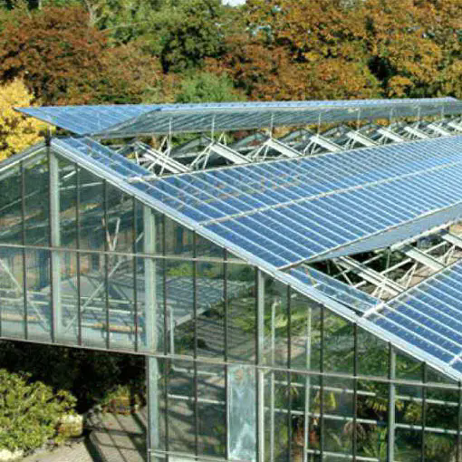 Steel Structure Greenhouse